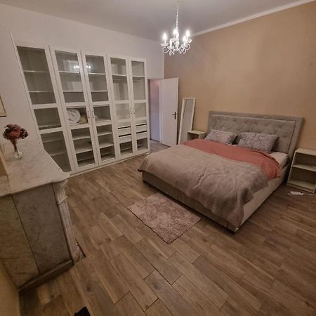 L'Antre Du Dragon Apartment Marseille Bagian luar foto